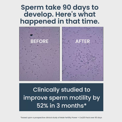 Male Fertility Power Pack