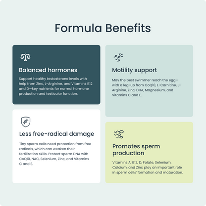 Male Fertility Supplements Boost Sperm Health & Motility Bird&Be Male Fertility Supplements Boost Sperm Health & Motility Bird&Be
