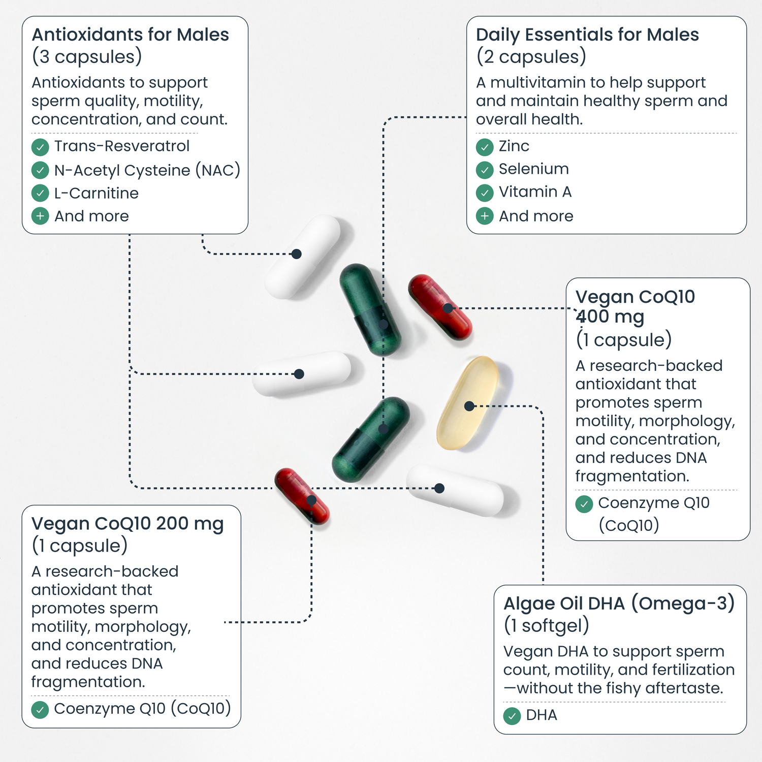 acetyl l carnitine infertility It takes two. And male