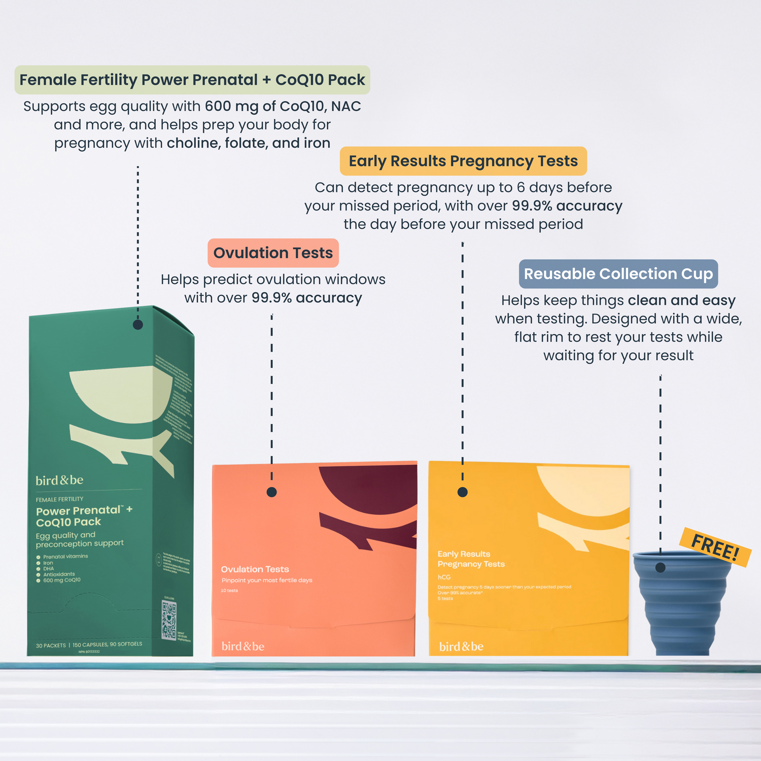 Egg Support + Cycle Tracking Bundle
