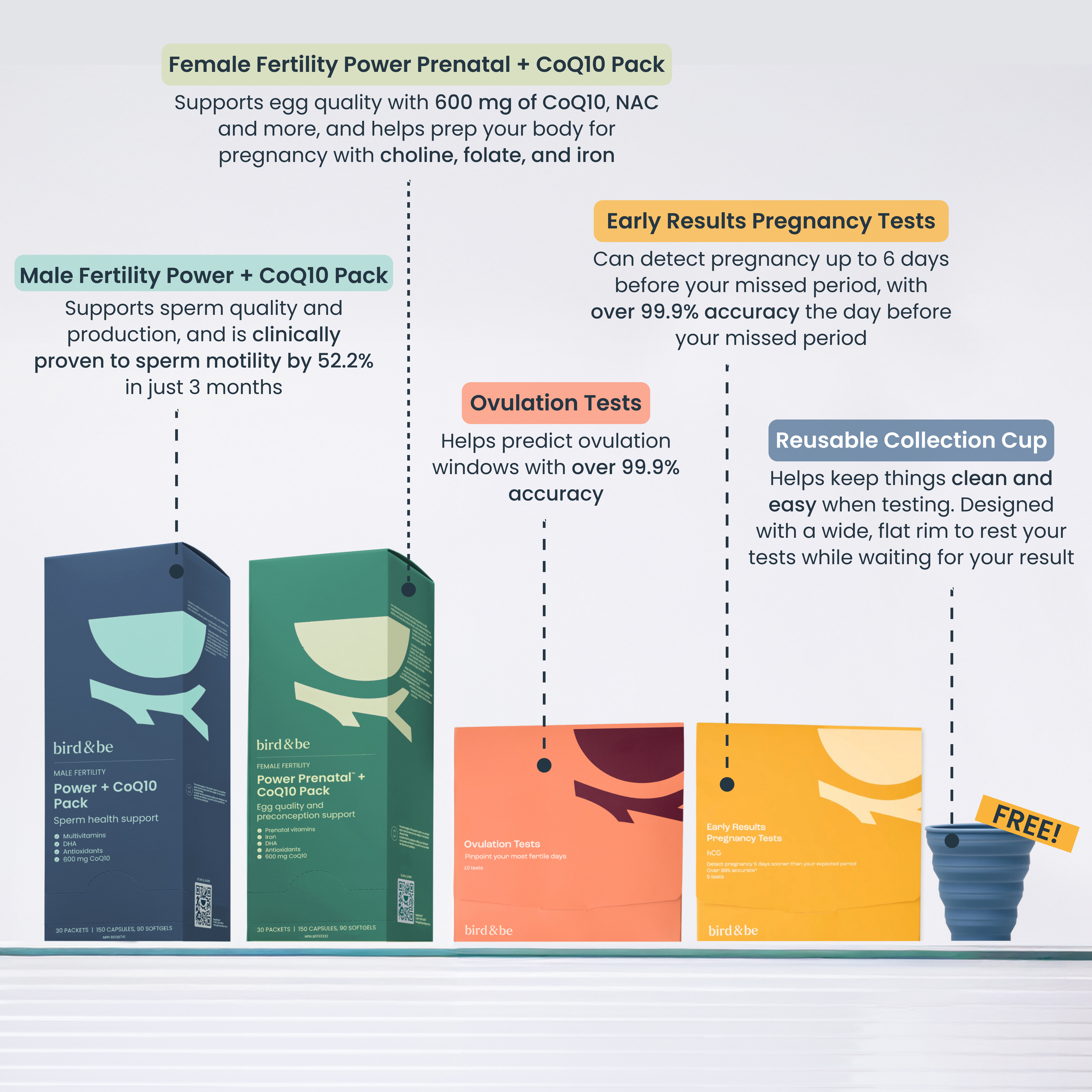 Trying to Conceive Bundle