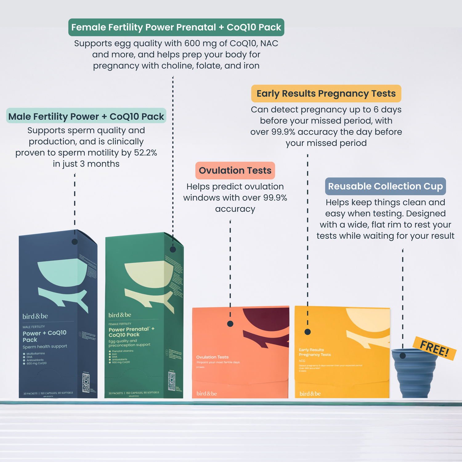 Trying to Conceive Bundle